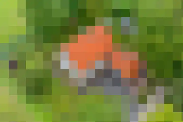 E L Ubbensweg 13 Huizinge thumbnail 48