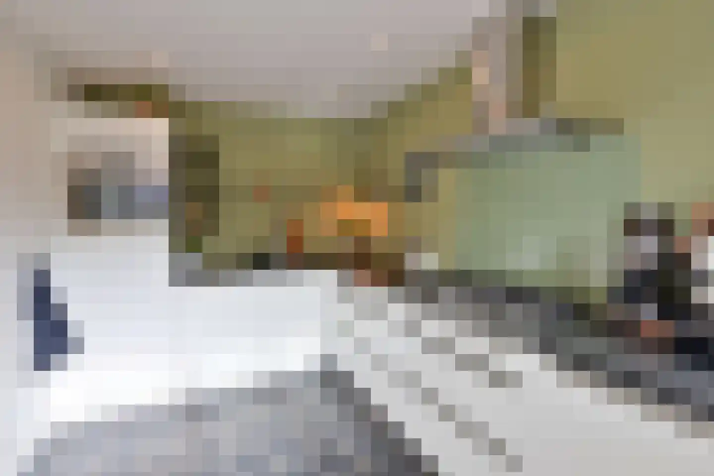 E. Ludenstraat 23 Huizen thumbnail 10