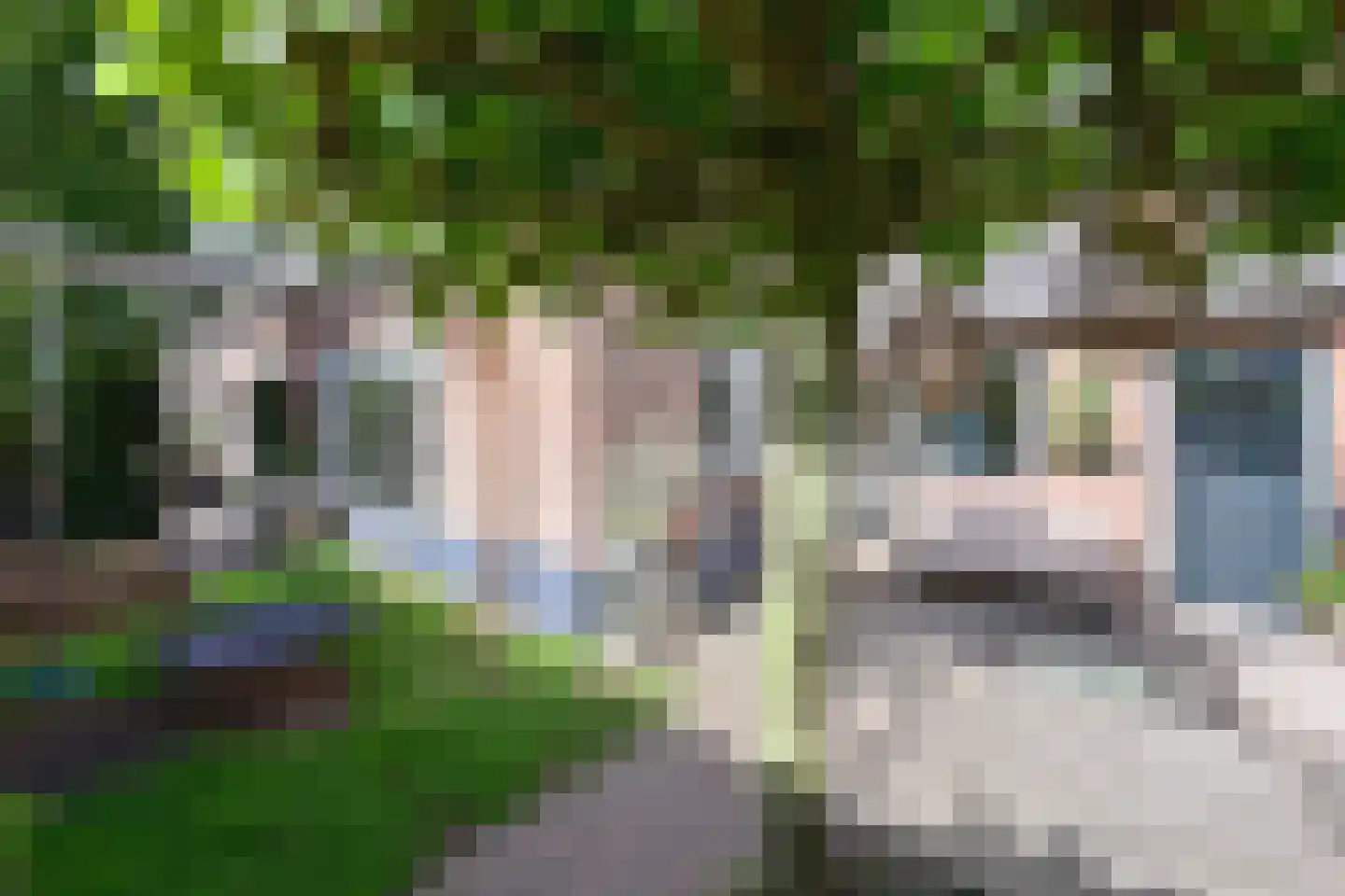 E. Ludenstraat 23 Huizen thumbnail 12