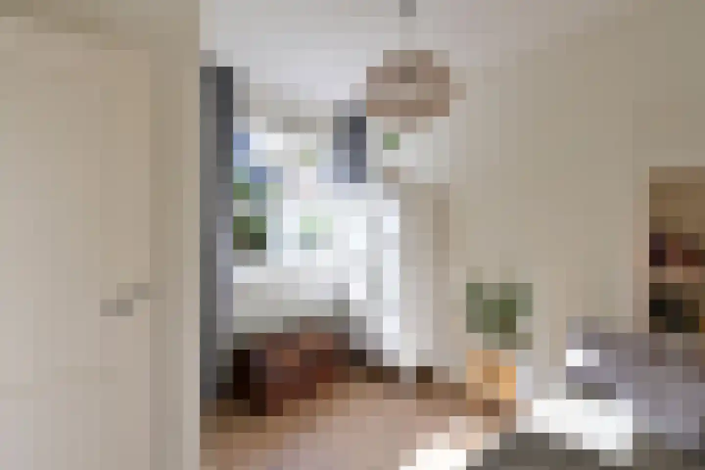 E. Ludenstraat 23 Huizen thumbnail 15