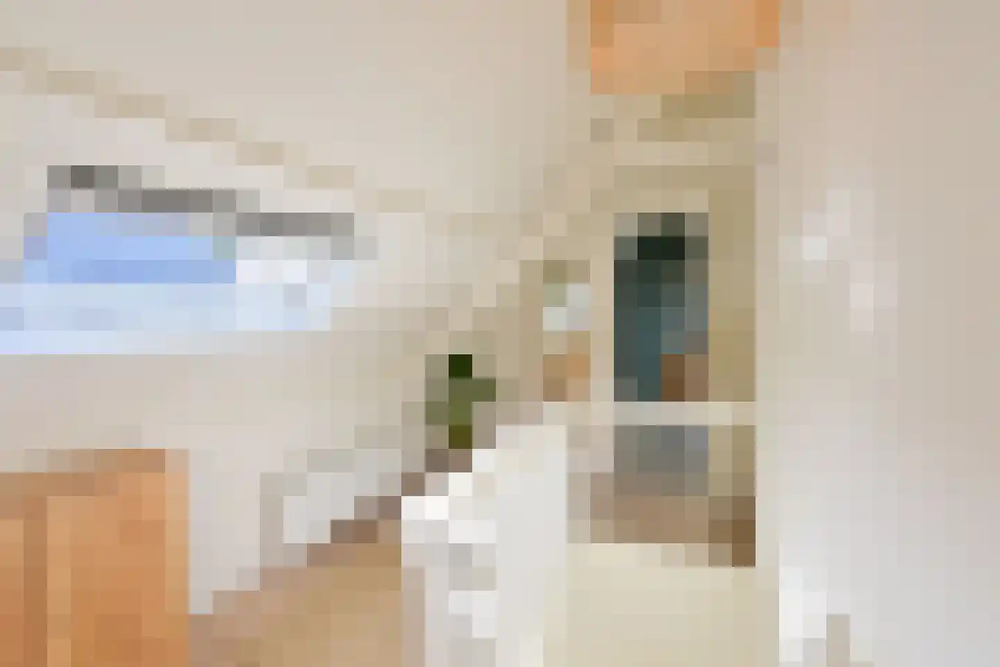 E. Ludenstraat 23 Huizen thumbnail 17