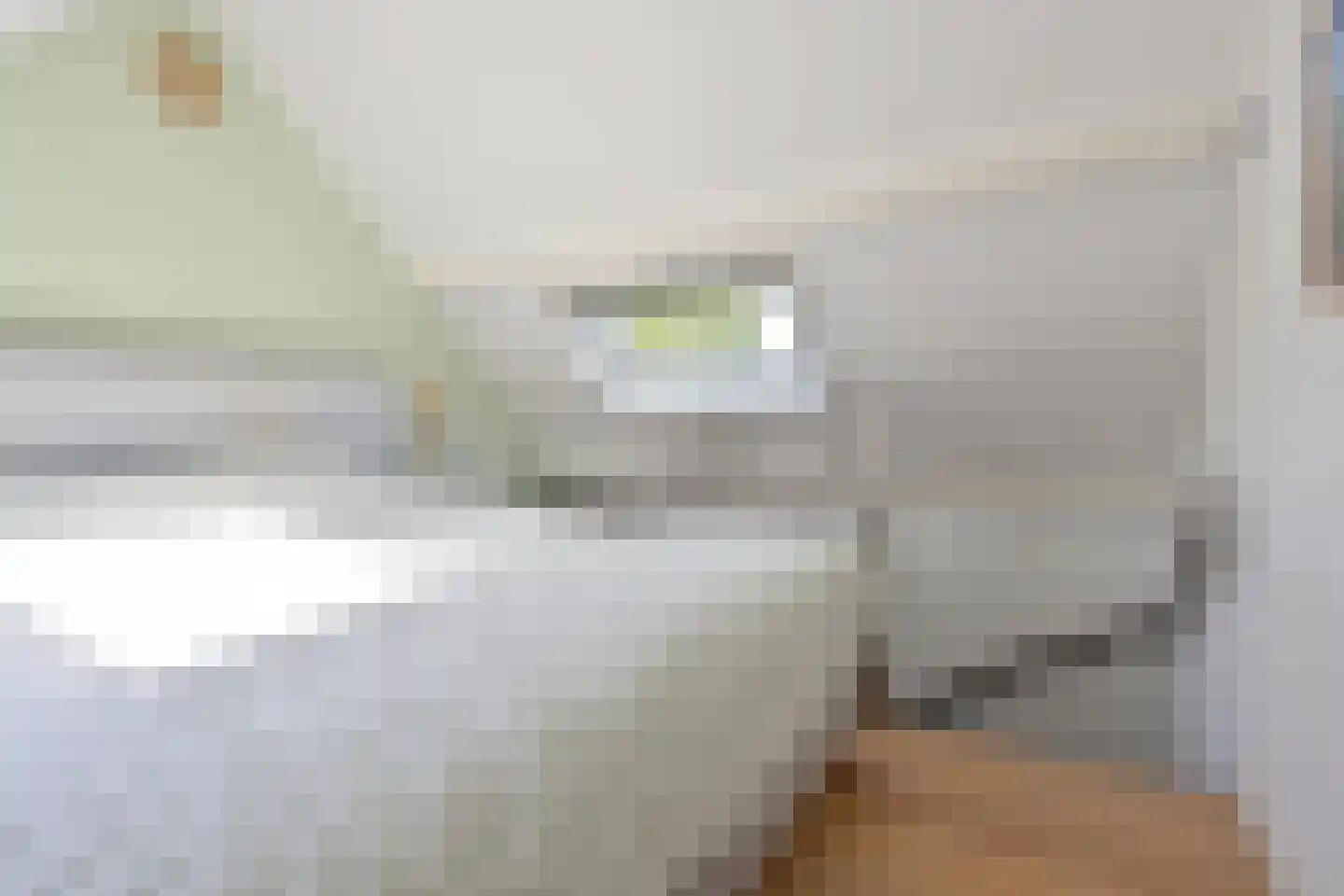 E. Ludenstraat 23 Huizen thumbnail 22