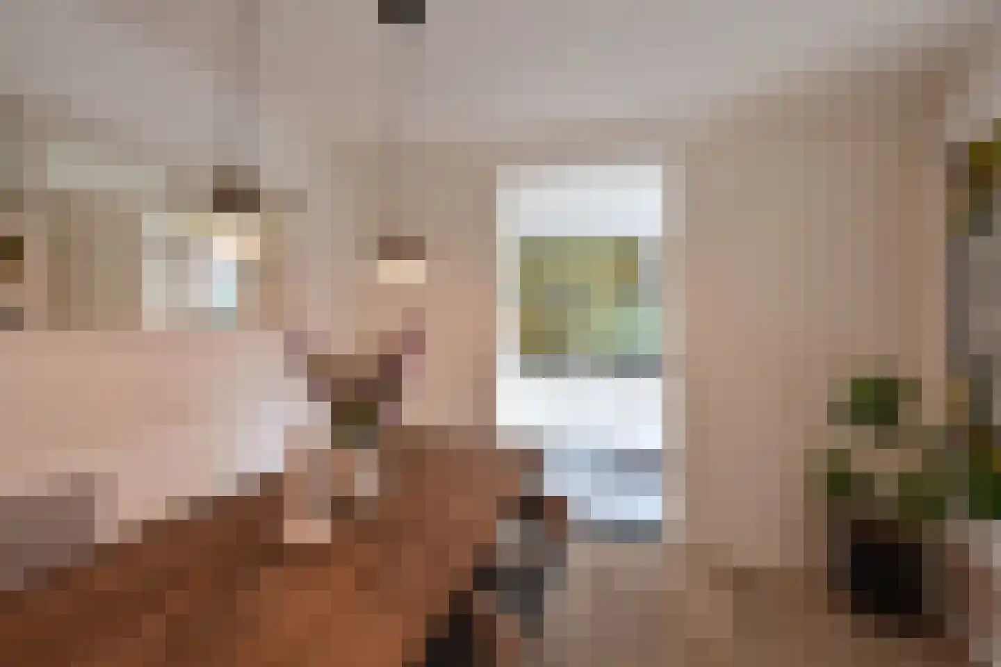 E. Ludenstraat 23 Huizen thumbnail 9