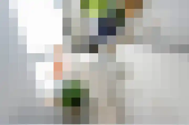 E. Ludenstraat 3 Huizen thumbnail 26