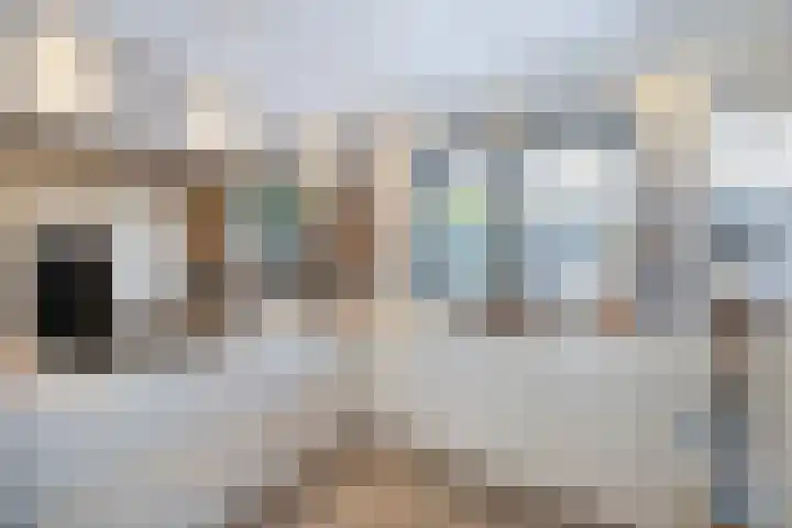 E. Ludenstraat 44 b Huizen thumbnail 12