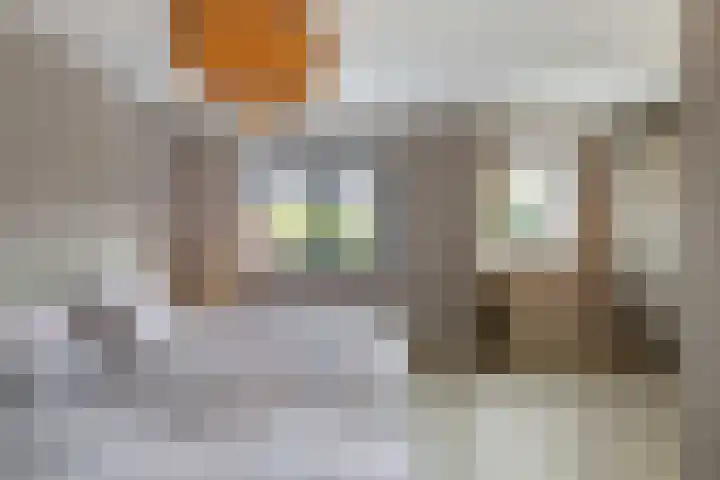 E. Ludenstraat 44 b Huizen thumbnail 25