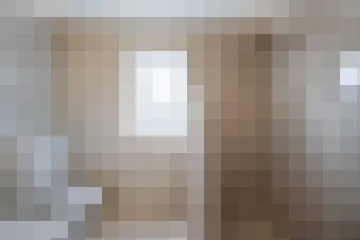 E. Ludenstraat 44 b Huizen thumbnail 30