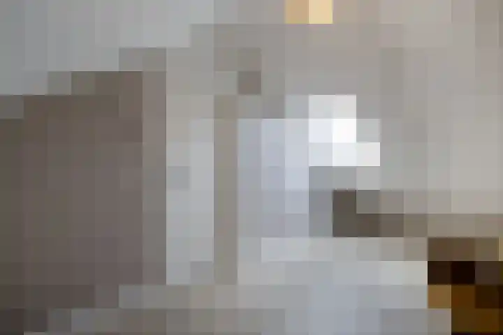 E. Ludenstraat 44 b Huizen thumbnail 37