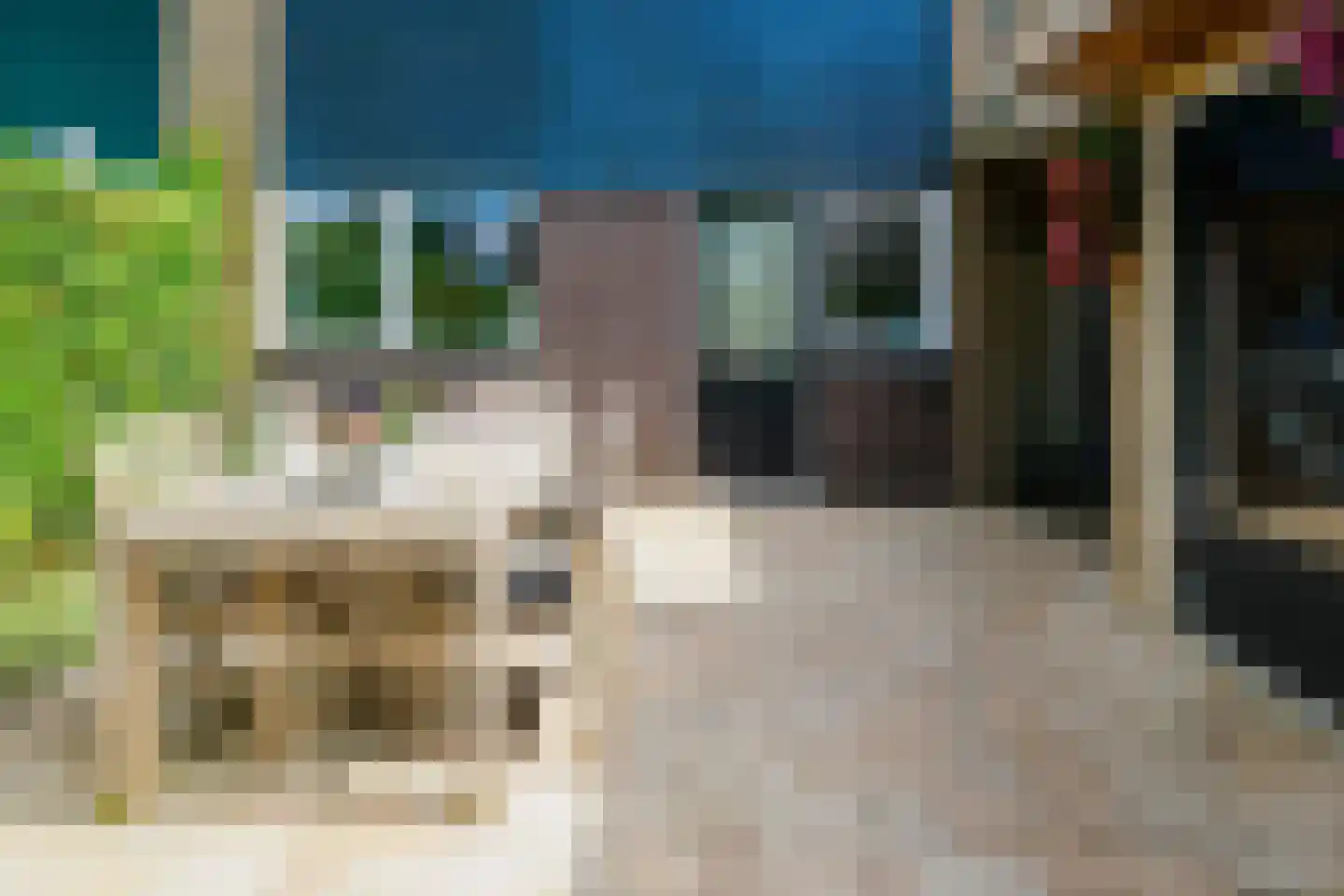 E. Nijen Twilhaarstraat 16 Vriezenveen thumbnail 43