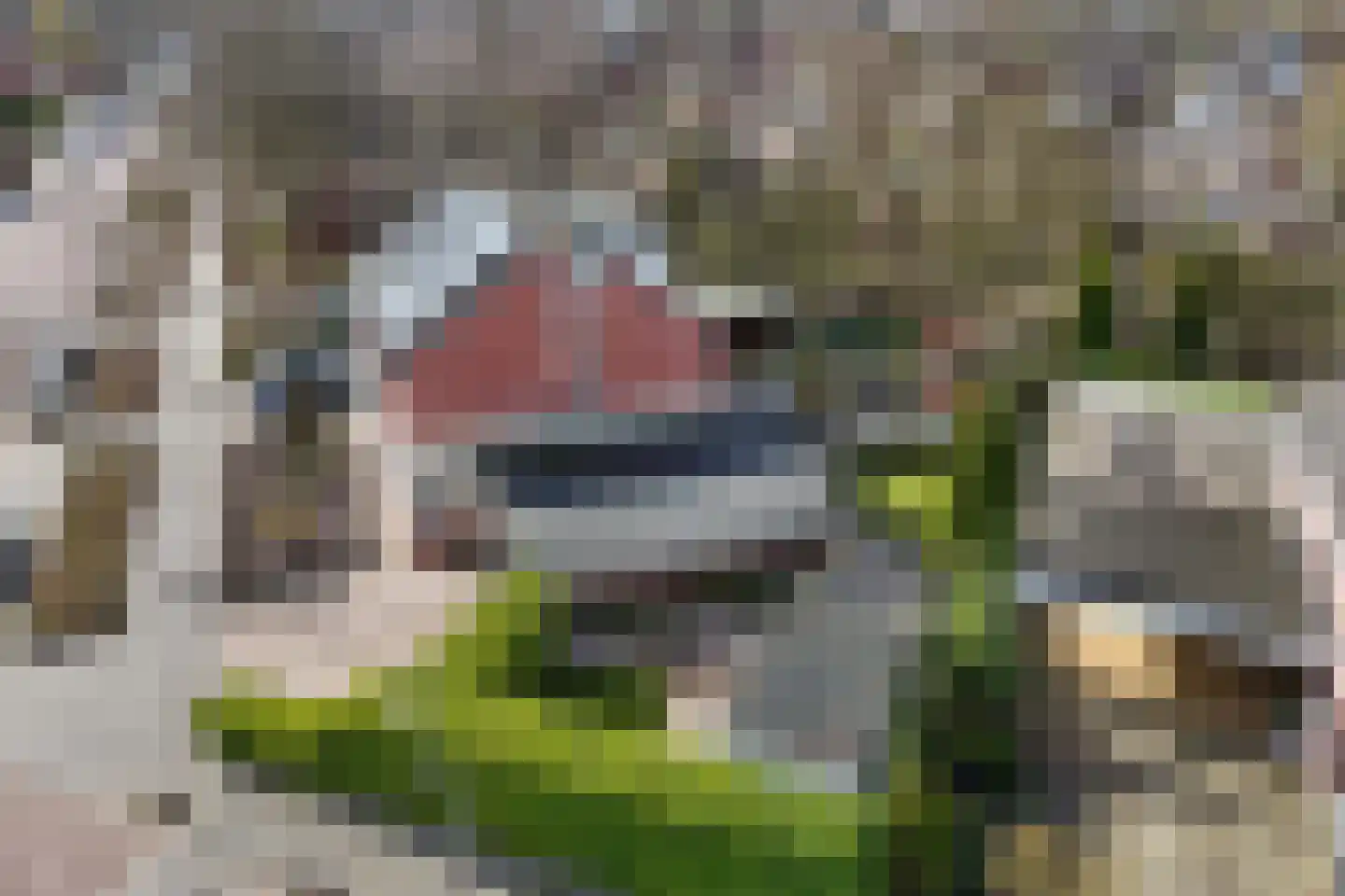 E.P. Seidelstraat 75 Ens thumbnail 12