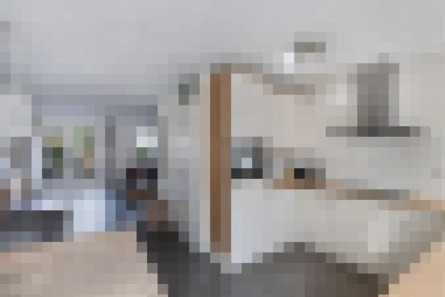 E.P. Seidelstraat 75 Ens thumbnail 28