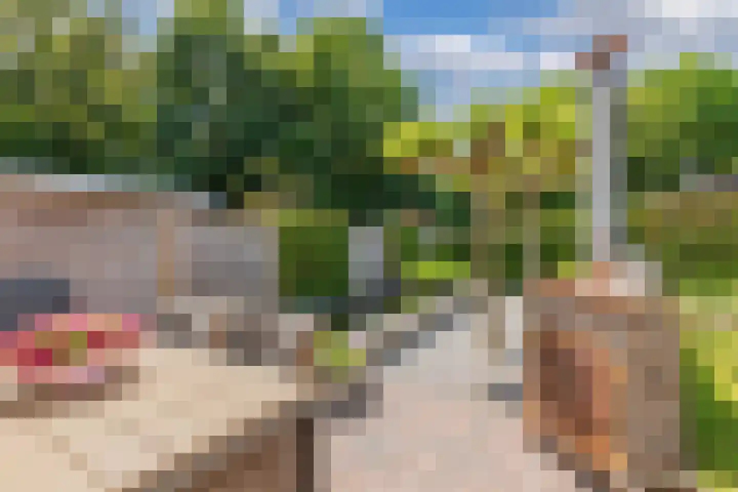 E.P. Seidelstraat 75 Ens thumbnail 28