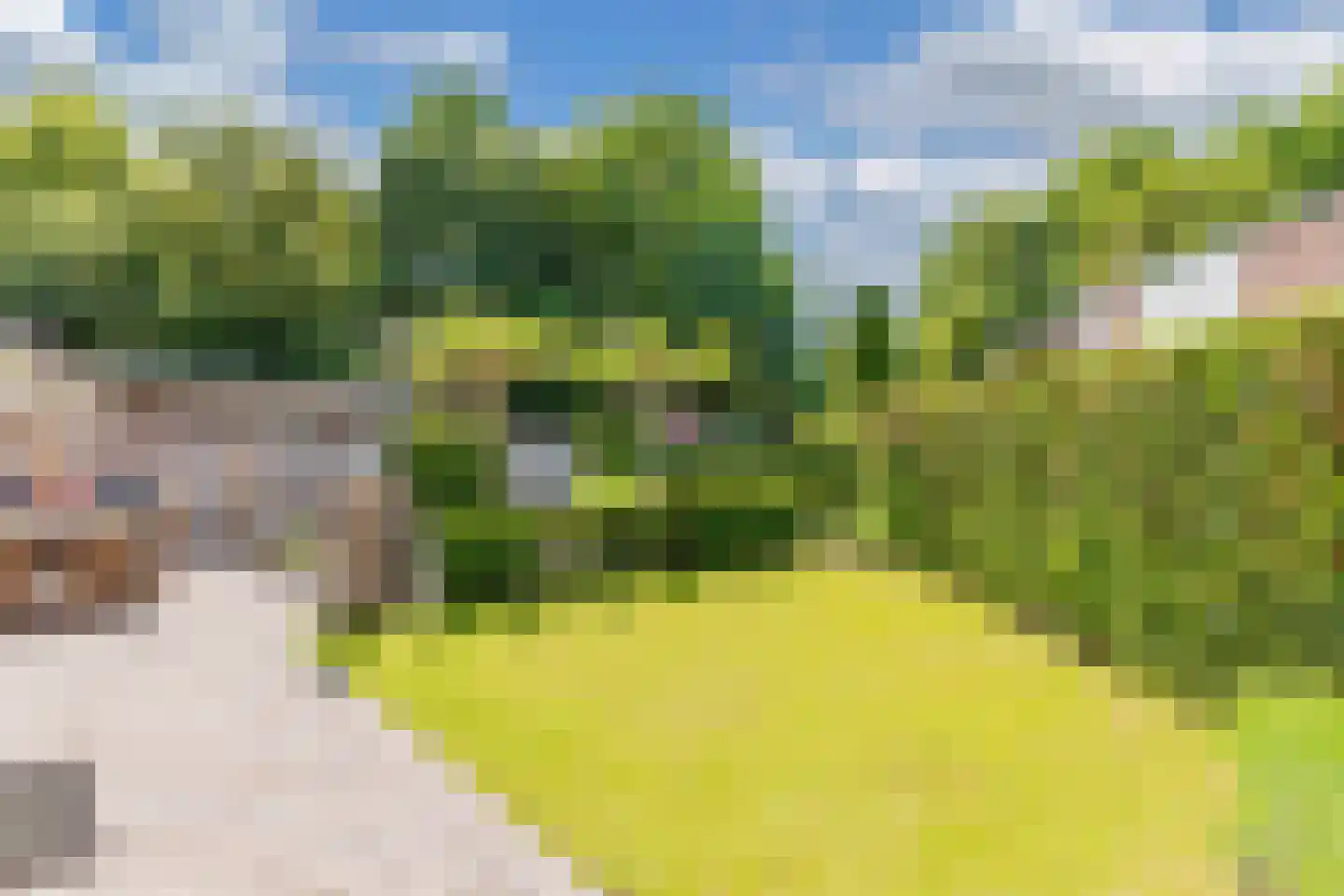E.P. Seidelstraat 75 Ens thumbnail 36