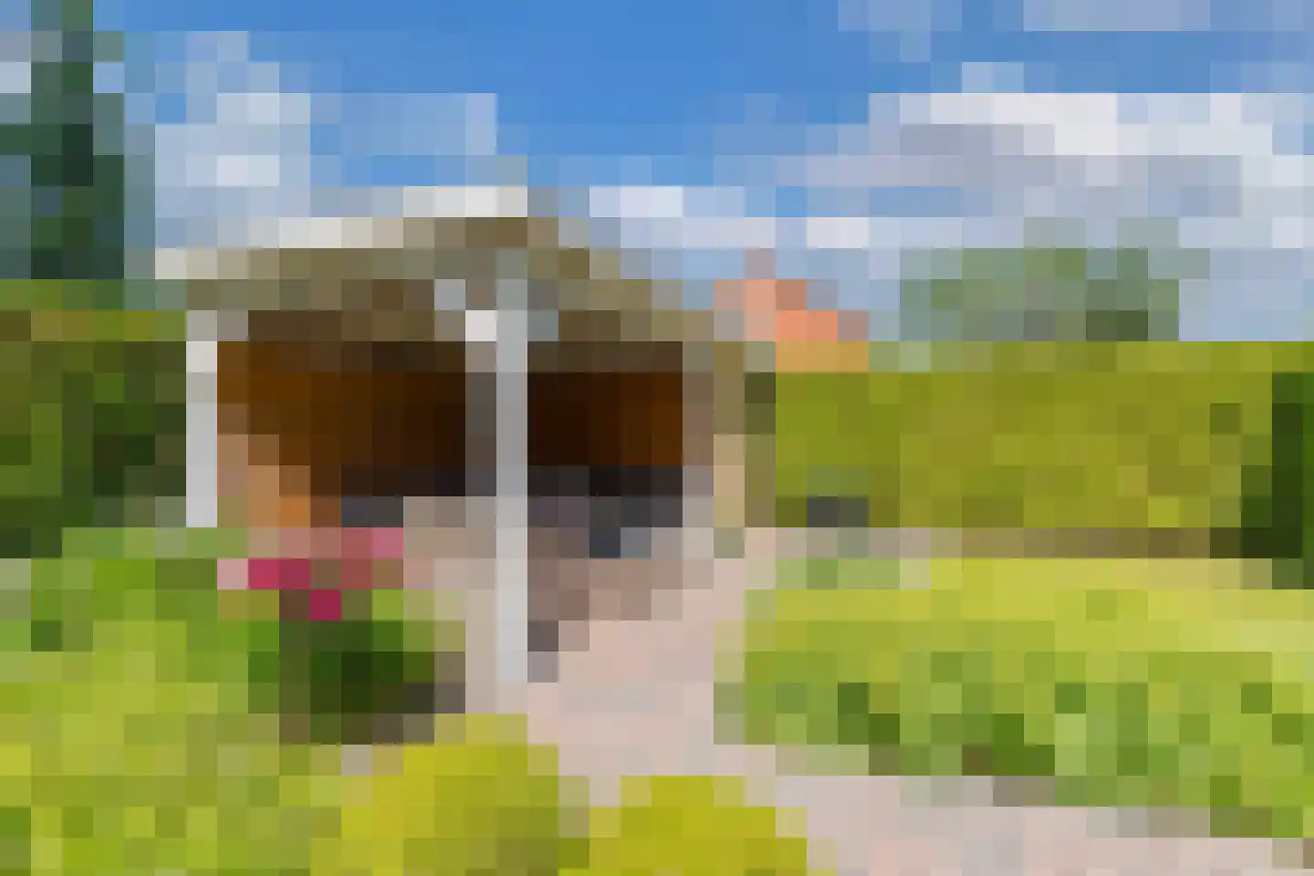 E.P. Seidelstraat 75 Ens thumbnail 38