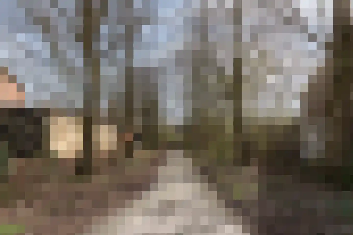 E.P. Seidelstraat 75 Ens thumbnail 41
