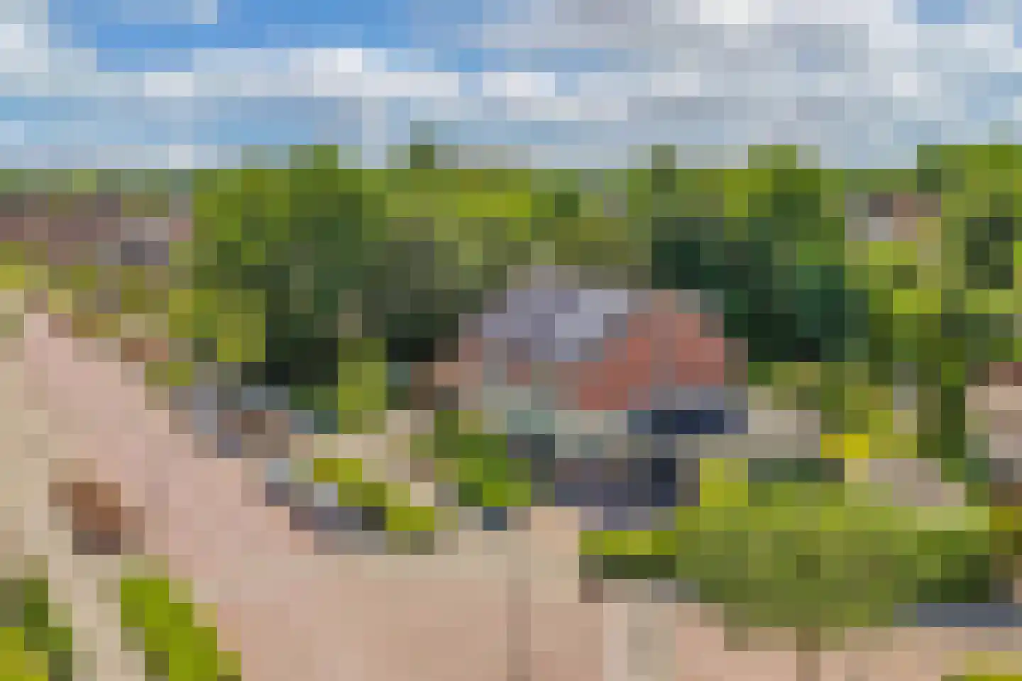 E.P. Seidelstraat 75 Ens thumbnail 57