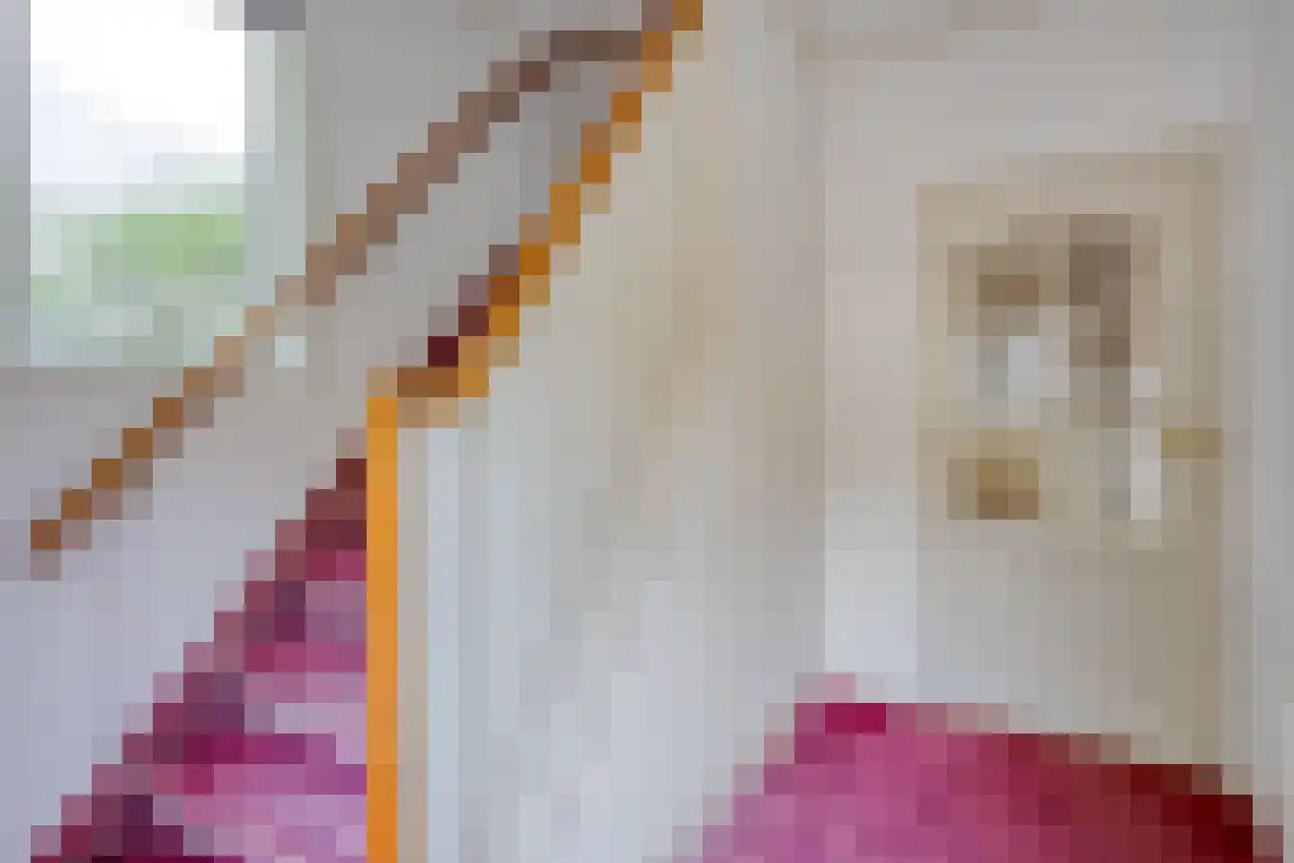 E.P. van Ooijenstraat 3 Aalst thumbnail 7