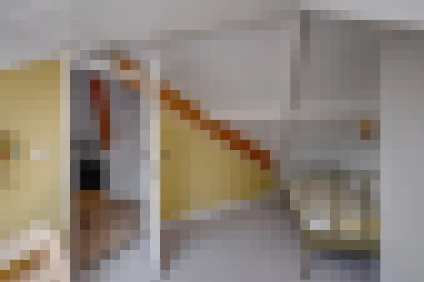 E. Tesschenmacherstraat 72 Deventer thumbnail 41