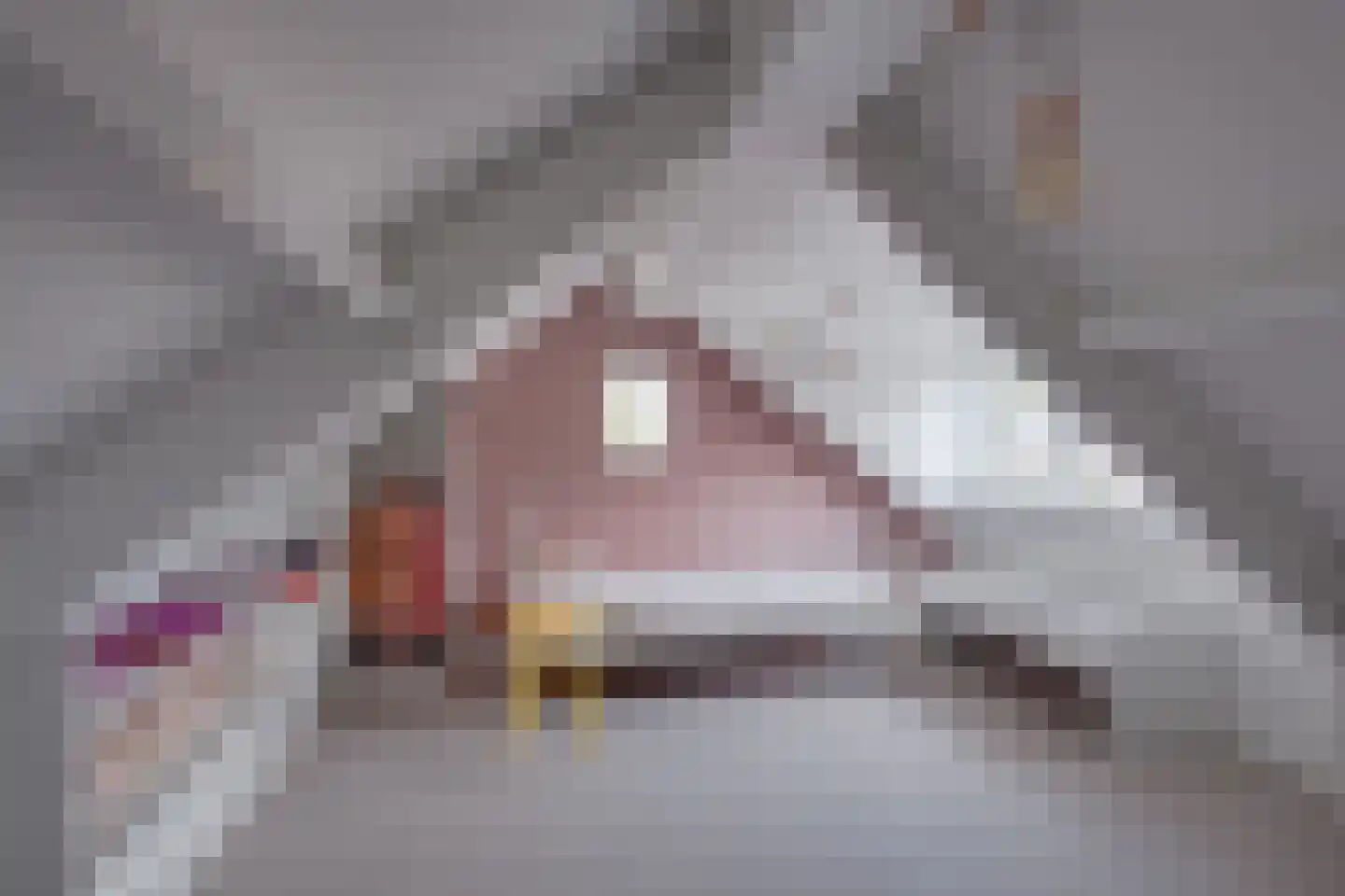 E. Tesschenmacherstraat 72 Deventer thumbnail 42