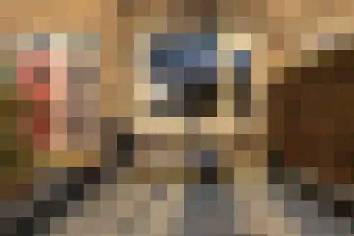 E. Thomassen à Thuessinklaan 20 Groningen thumbnail 54
