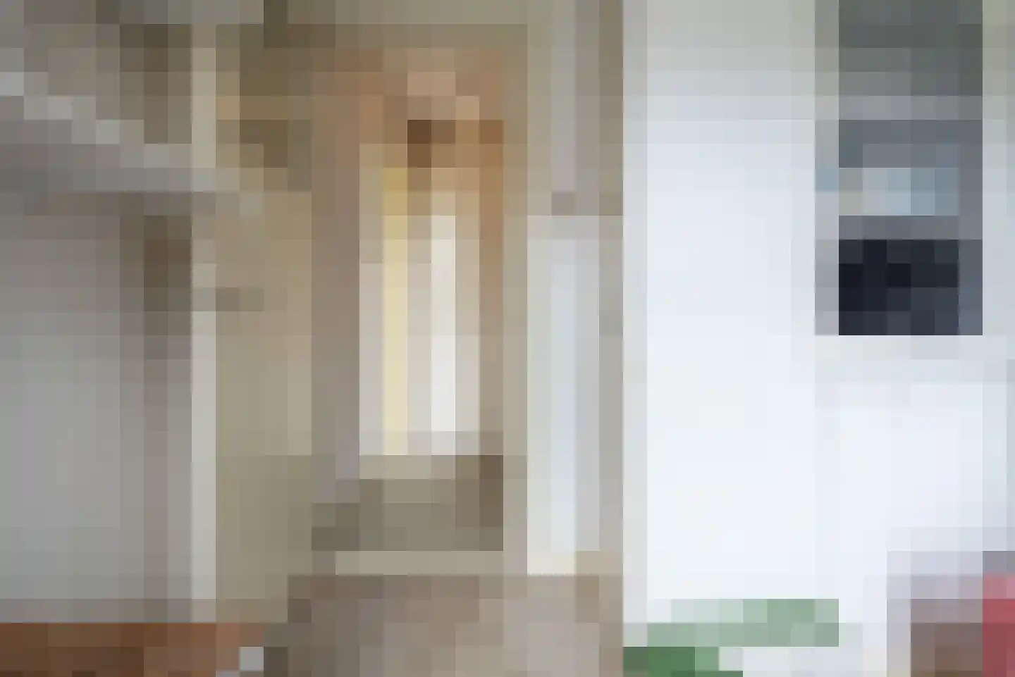 E. Thomassen à Thuessinklaan 28 Groningen thumbnail 26