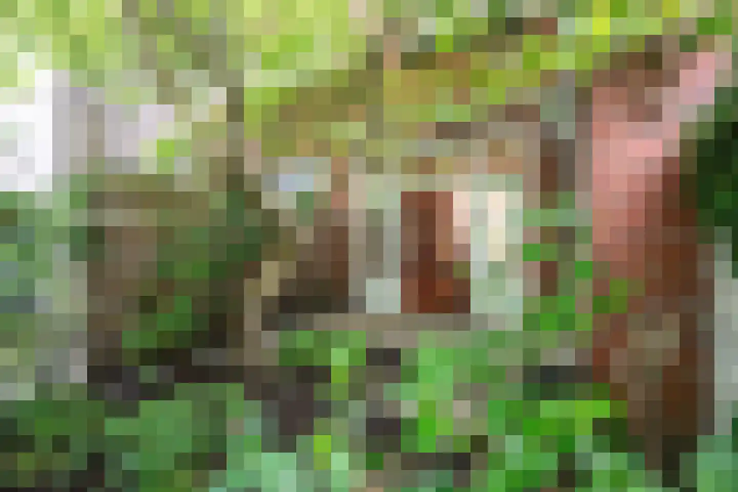 E. Thomassen à Thuessinklaan 28 Groningen thumbnail 33