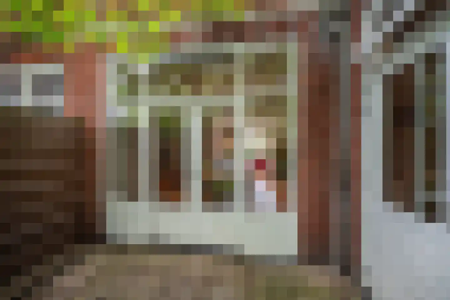 E. Thomassen à Thuessinklaan 28 Groningen thumbnail 36