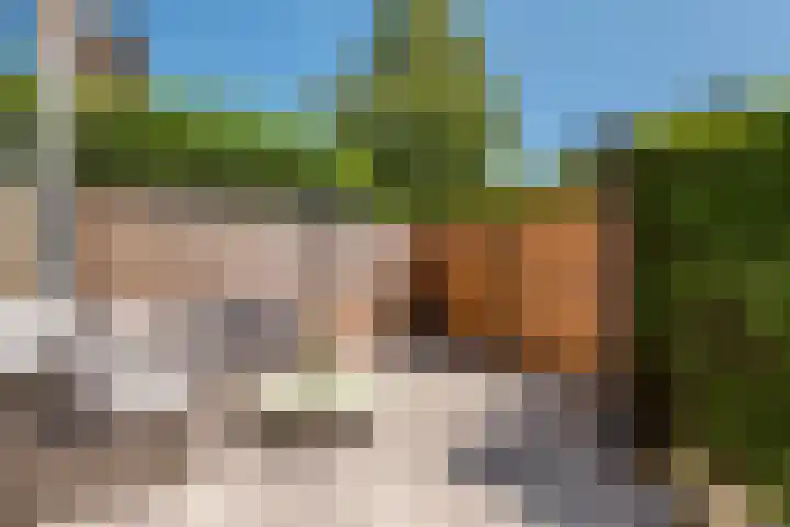 E. Thomassen à Thuessinklaan 32 Groningen thumbnail 30