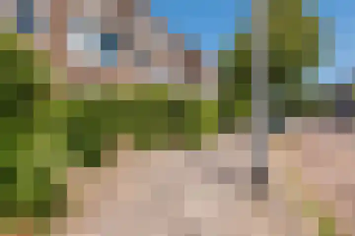 E. Thomassen à Thuessinklaan 32 Groningen thumbnail 5