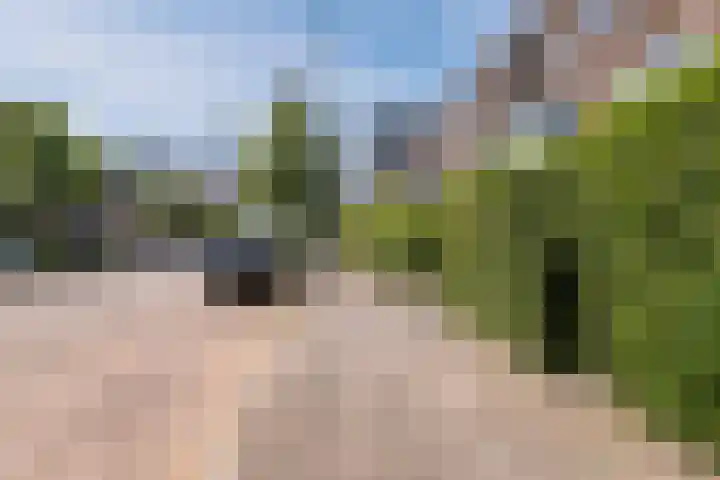 E. Thomassen à Thuessinklaan 32 Groningen thumbnail 6