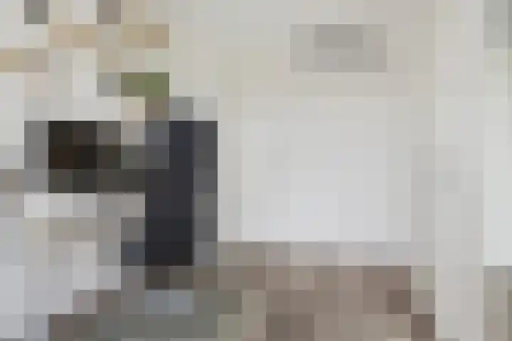 E. Thomassen à Thuessinklaan 50 Groningen thumbnail 32