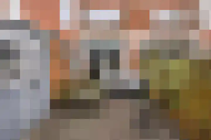 E. Thomassen à Thuessinklaan 50 Groningen thumbnail 33