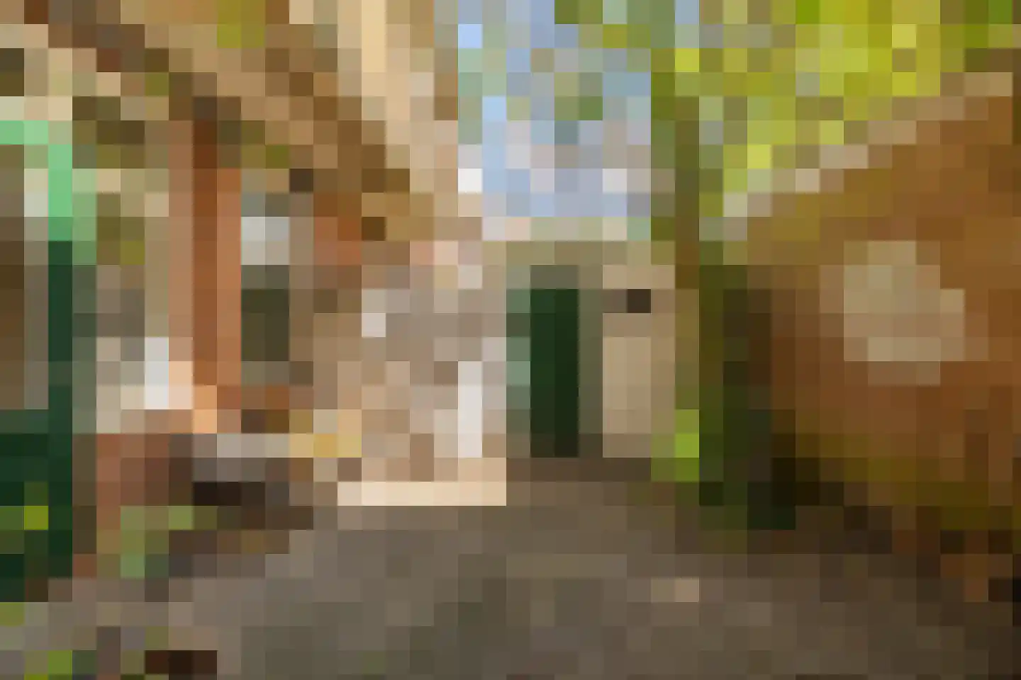 E. Thomassen à Thuessinklaan 9 Groningen thumbnail 17