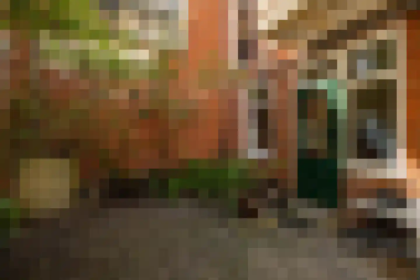 E. Thomassen à Thuessinklaan 9 Groningen thumbnail 18