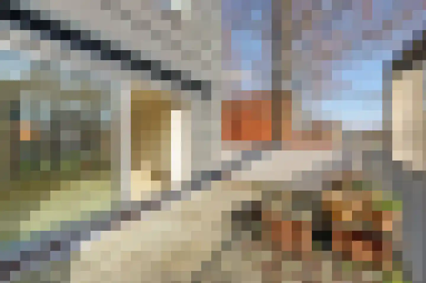 E. van Dintelstraat 10 Spijkenisse thumbnail 16