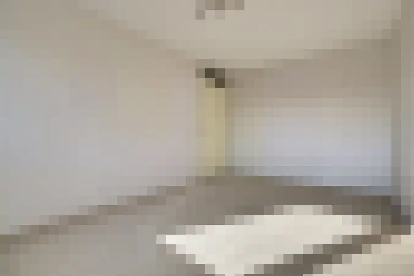E. van Dintelstraat 10 Spijkenisse thumbnail 25