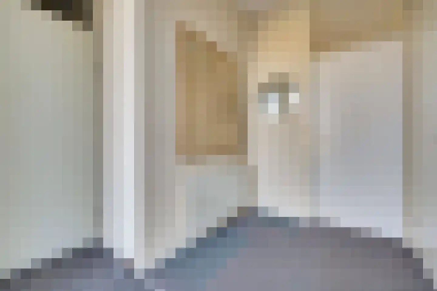 E. van Dintelstraat 10 Spijkenisse thumbnail 27
