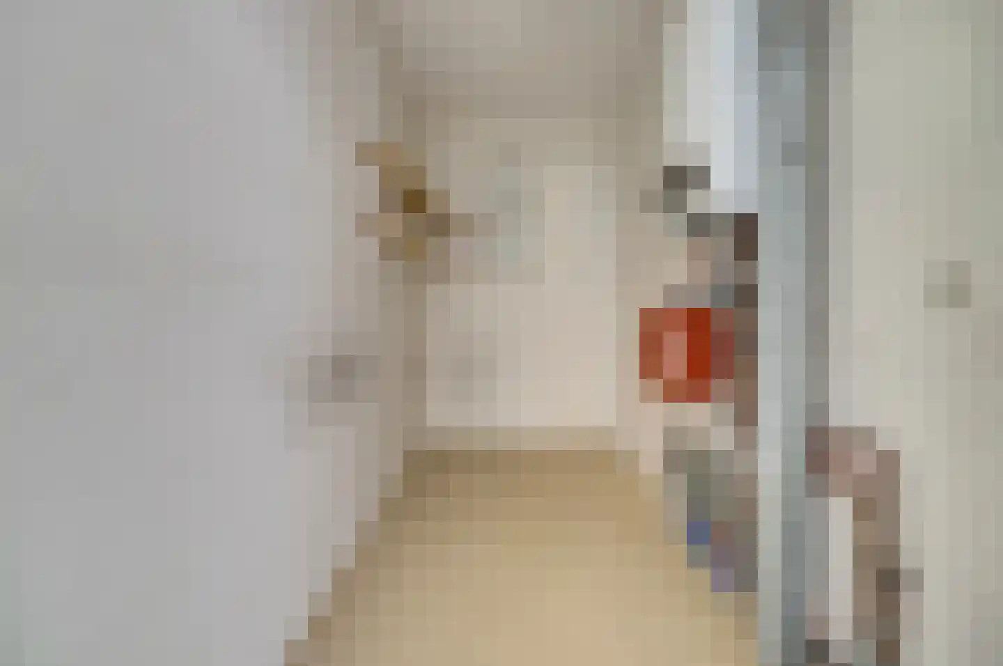 E. van Dintelstraat 10 Spijkenisse thumbnail 31