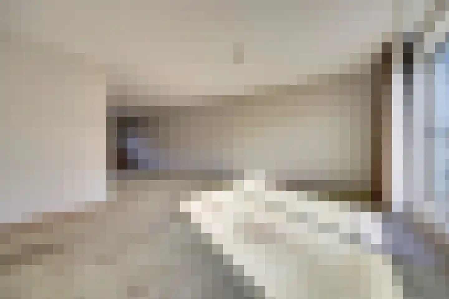 E. van Dintelstraat 10 Spijkenisse thumbnail 7