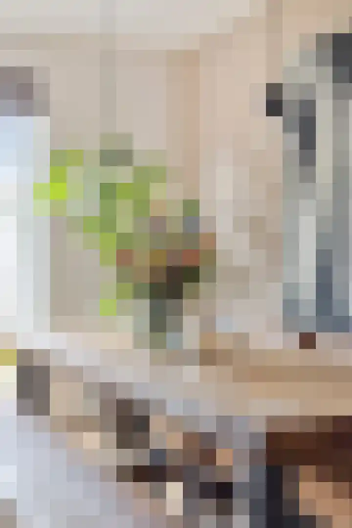 E. van Drielststraat 67 Emmen thumbnail 24