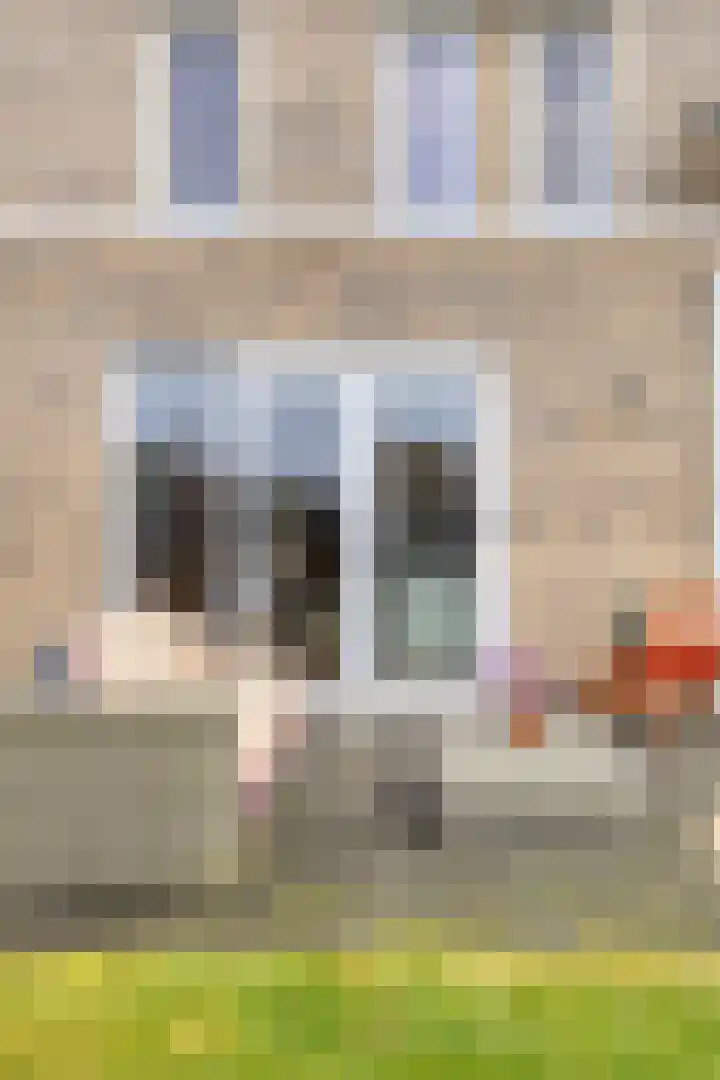 E. van Drielststraat 67 Emmen thumbnail 53