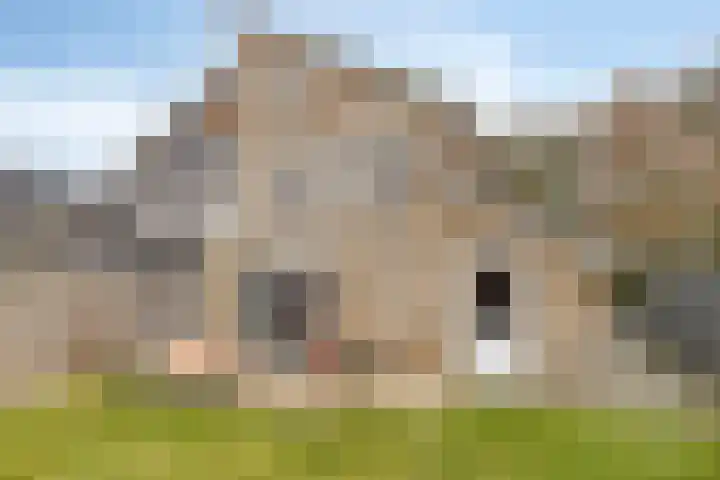 E. van Drielststraat 67 Emmen thumbnail 57