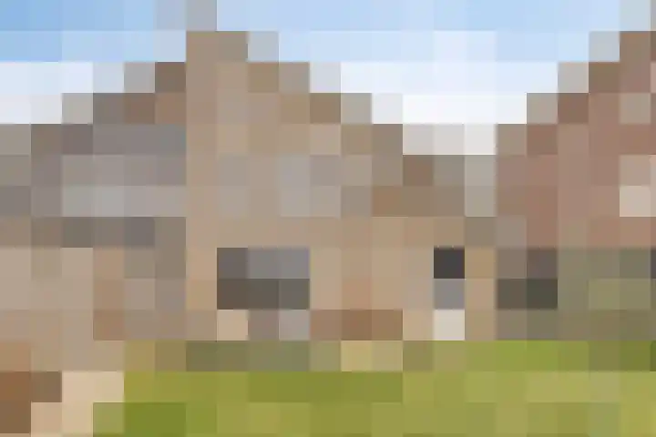 E. van Drielststraat 67 Emmen thumbnail 58