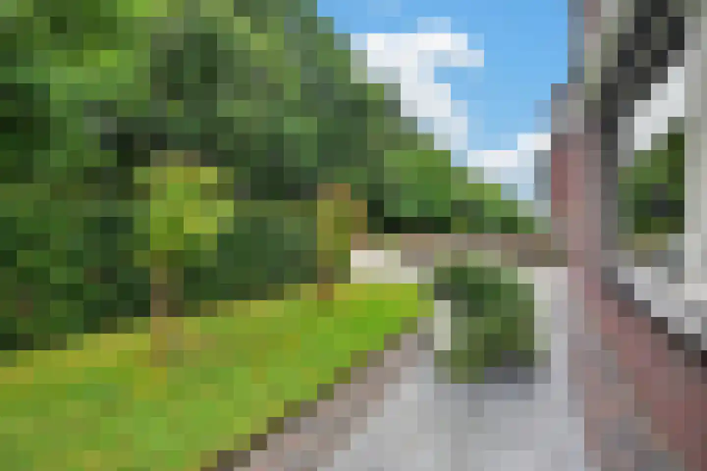 E. van Drielststraat 77 Emmen thumbnail 51