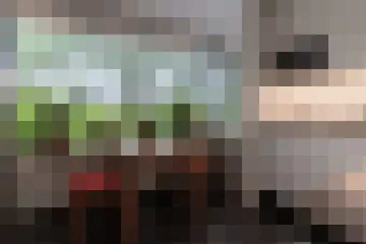 E van Grevengoedhof 13 Putten thumbnail 10