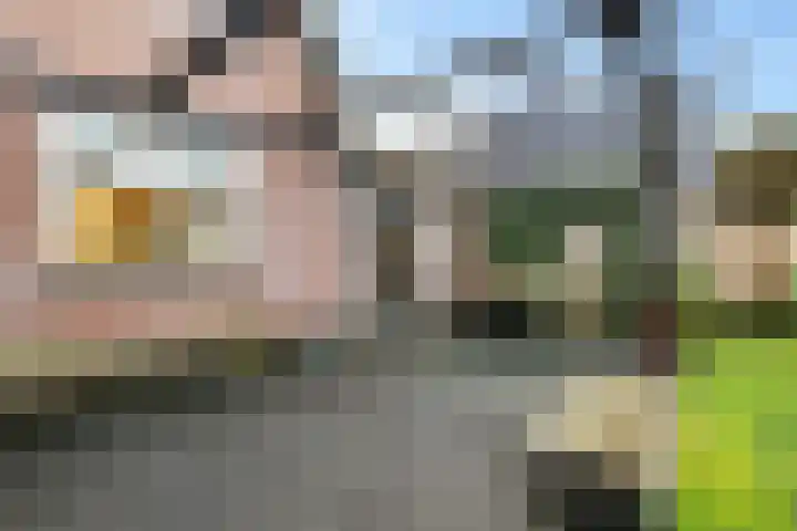 Eabekamp 3 Boornbergum thumbnail 30