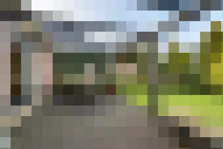 Eabekamp 3 Boornbergum thumbnail 31