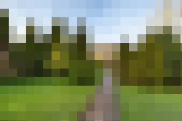 Eabekamp 3 Boornbergum thumbnail 32