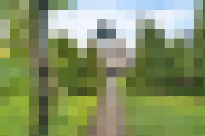 Eabekamp 3 Boornbergum thumbnail 34