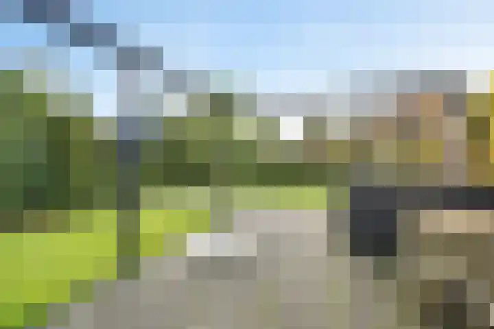 Eabekamp 3 Boornbergum thumbnail 35